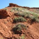 Vicki Mortimer - @vick_fcco - Twitter