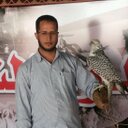 khalid zayed - @khalidzayed71 - Twitter