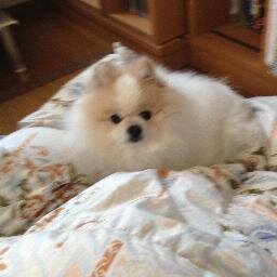 talltree68's profile picture. 