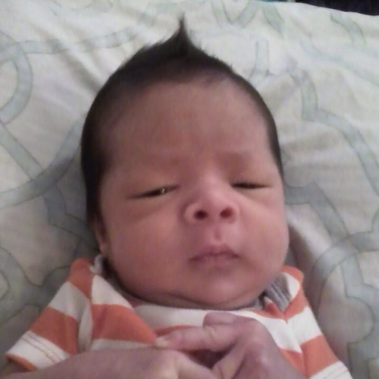 devcamp2010's profile picture. 