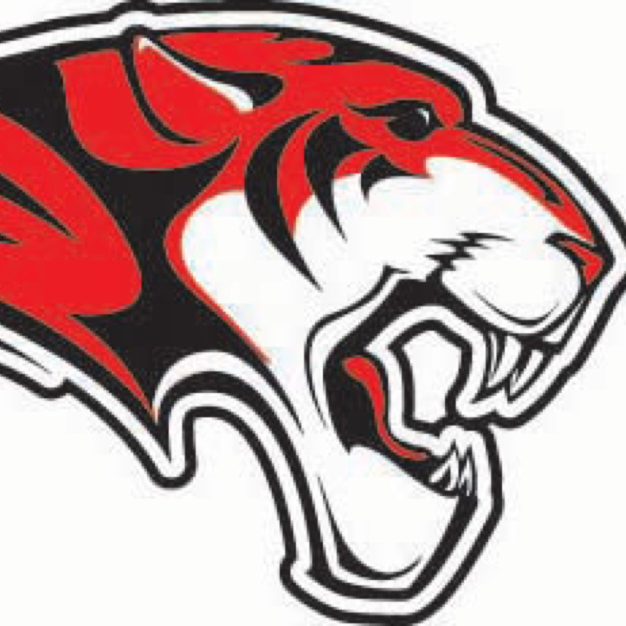 Trying to make a difference one uplifting comment at a time. / DM us anytime for advice, words of encouragement, or support. We love you guys! / Go Tigers!