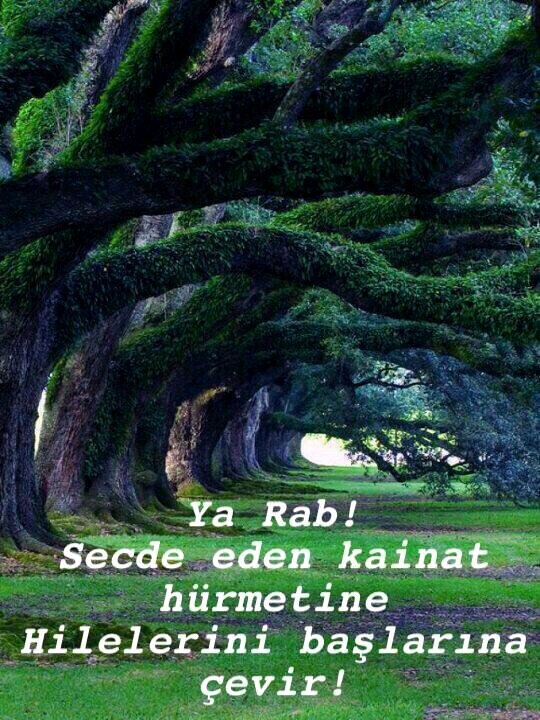 OsmanKARACA41's profile picture. SİYASETTEN uzak