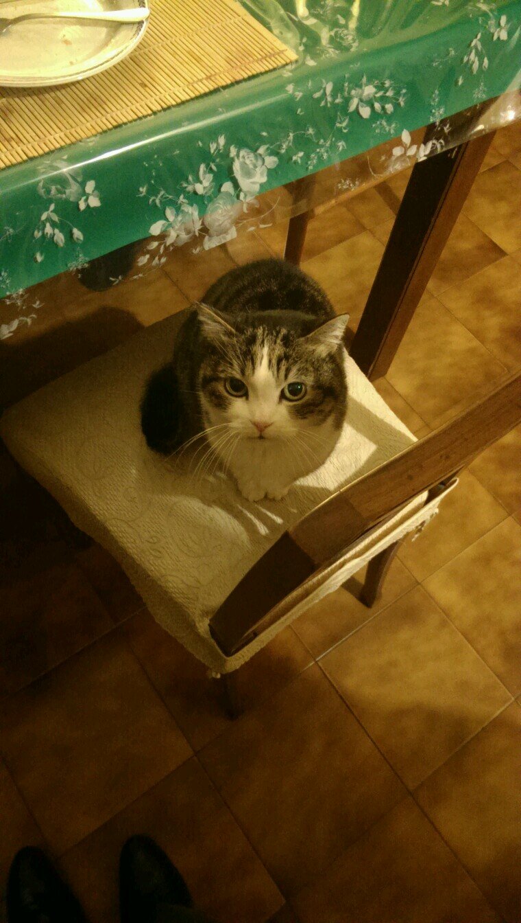 kErOrO6985's profile picture. 