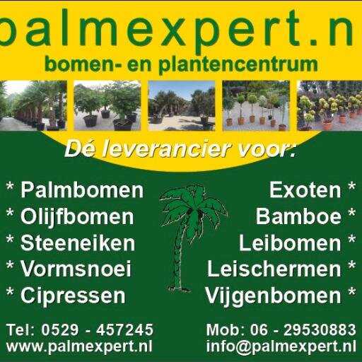 Palmexpert.nl is de leverancier voor Palmbomen, Olijfbomen, Kurkeiken, Steeneiken, Leischermen, Oude Druivenbomen,Exoten.
http://t.co/YRzUBtkNW9