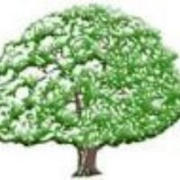 Ireland Wood (@iwpsleeds) 's Twitter Profile