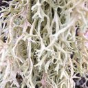 doris daly - @doris_sn - Twitter