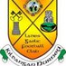 Kildangan/Nurney (@kildangannurney) Twitter profile photo