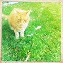 Anna Weis - @Anna84_Weis - Twitter