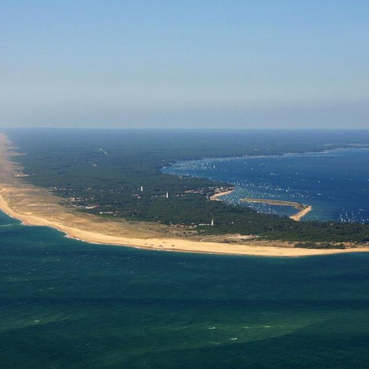 manouu_'s profile picture. 