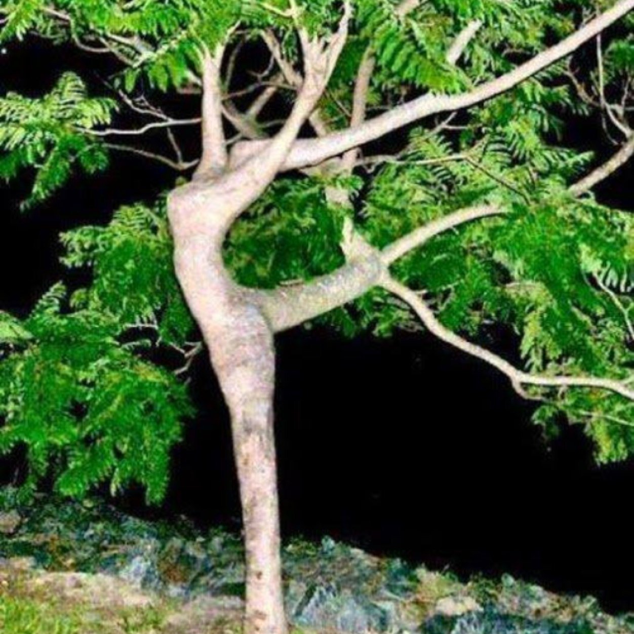 WaltStephanie's profile picture. 