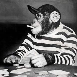 tinylittleface's profile picture. never know what to write here... :/