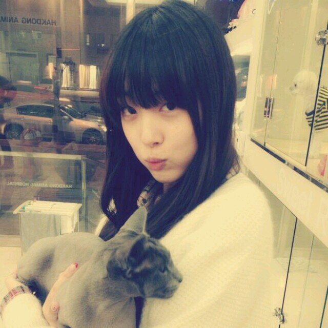 sulli(bot) 5/23~4/5 また会う日までさようなら