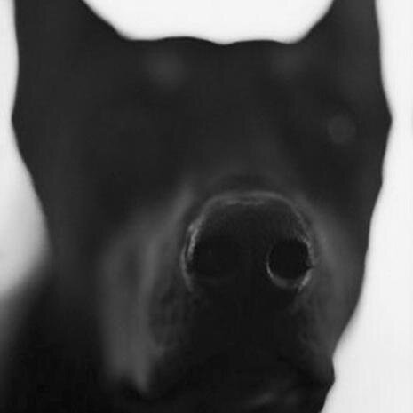 NuwandaBeats's profile picture. nuwandabeats@gmail.com