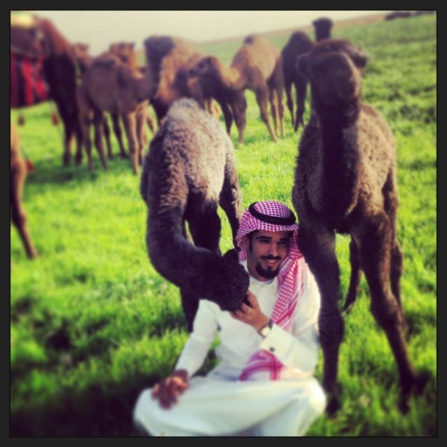 tob_642's profile picture. 