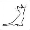 фолловинг #rufollowback,#followback