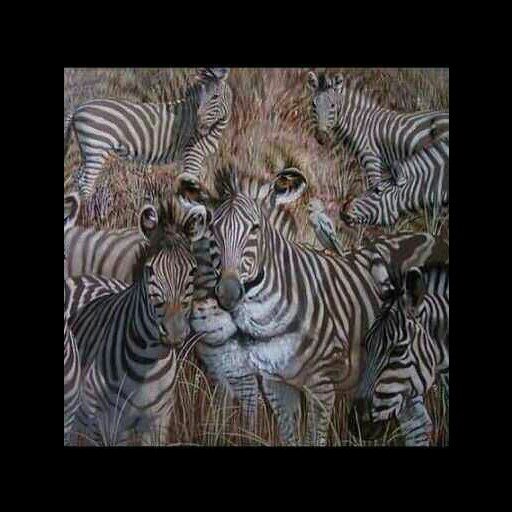 LISTAS descuento para ZOOLOGICOCLUB en la sala marcoaldany!