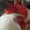 Michaela Smith - @michaelajsmith2 - Twitter