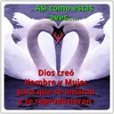 brayan (@1977_rey) Twitter