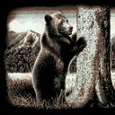 Nancy Mangold - @mngld56 - Twitter