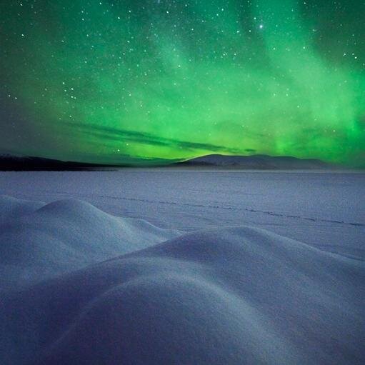 RosalieK29Q9's profile picture. 