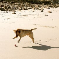 Giles Gould (@gilesgould) 's Twitter Profile