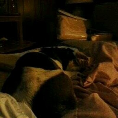 Profile Picture of Darrell (@DarrellPayne5) on Twitter