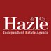 Hazle&Co (@hazleandco) Twitter profile photo