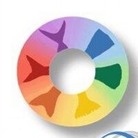 Diversify (@diversifyfish) 's Twitter Profile