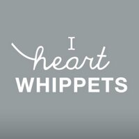 iheartwhippets (@whippetheart) 's Twitter Profile