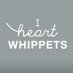 iheartwhippets (@whippetheart) Twitter profile photo