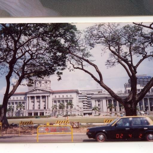 yamaki_catleya's profile picture. 