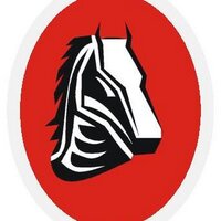 Chester Elementary (@tdsb_chesteres) 's Twitter Profile
