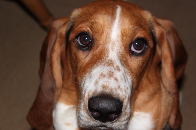 spidra09's profile picture. 