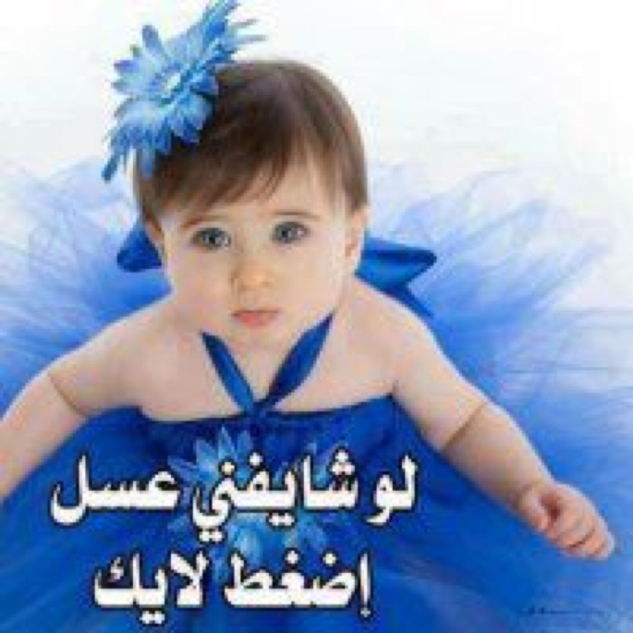 دع الايام تفعل ما تشوا وطب نفسن اذ حكم القضاء