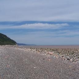 Amavesta's profile picture. 