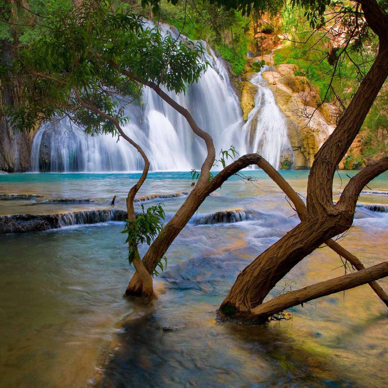 Enjoy the beauty of nature
