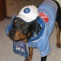 michael night (@lanotte1) 's Twitter Profile