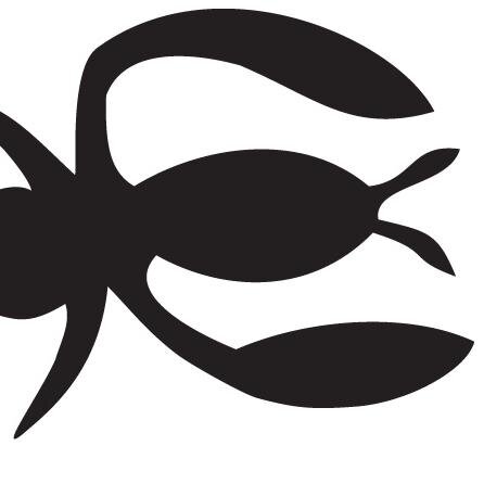 National Scorpion Association. 14ft 2 person dinghy raced throughout the UK.