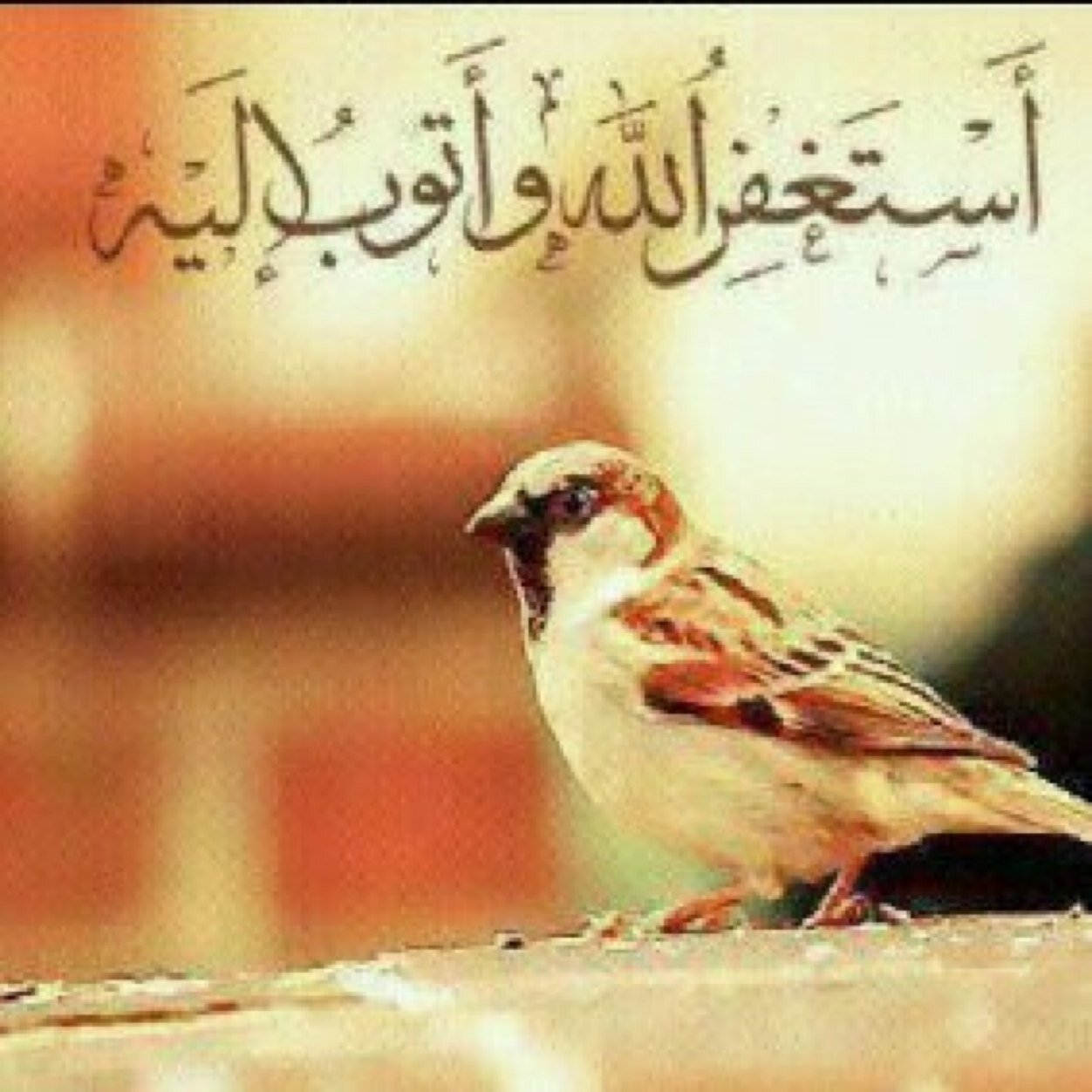 سبحان الله والحمدلله