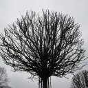 ruth millar - @ruth_millar - Twitter