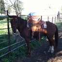 austin wilhelm - @awj1880 - Twitter