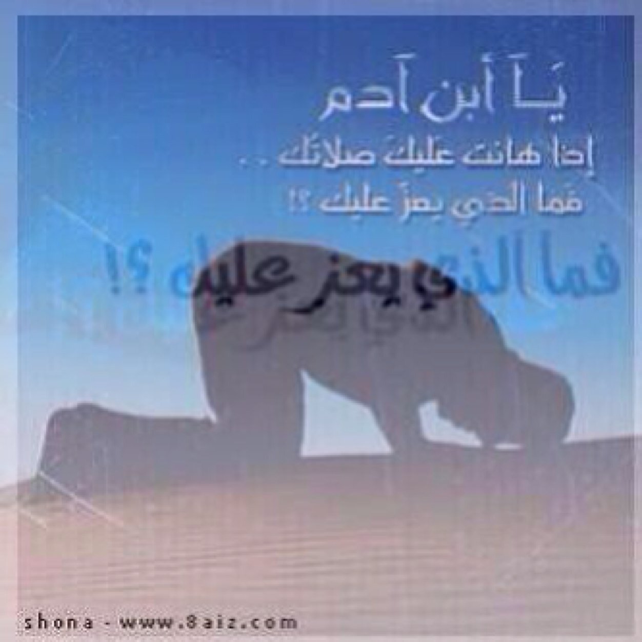 لا تجادل سفيه ولا تخـاوي جبان ولاتصادق بخيل ولاتخسر الكريم