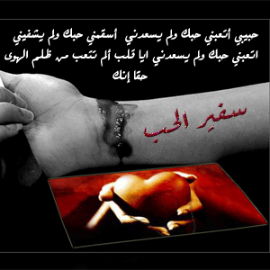 sfeer_sh's profile picture. 