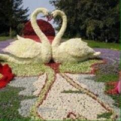 M_zadeh72's profile picture. 