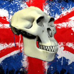 anglosapiens