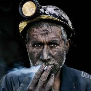 Ant_Fox's profile picture. 