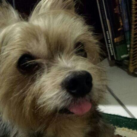 ofredsilva's profile picture. 🎼438+🎼|10@Anette@Lione@14bis|8@Toto@Keane@CallThePolice@Bohemian4@AirSupply@Maoe|6@Paul@BlindGuardian|2|25@RiR04|23@Judas@Pearl@Phil