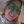 Shauna Messinger (@AyeLilLass) profile picture