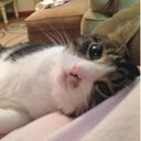 Mandy Marlow - @rlz724 - Twitter