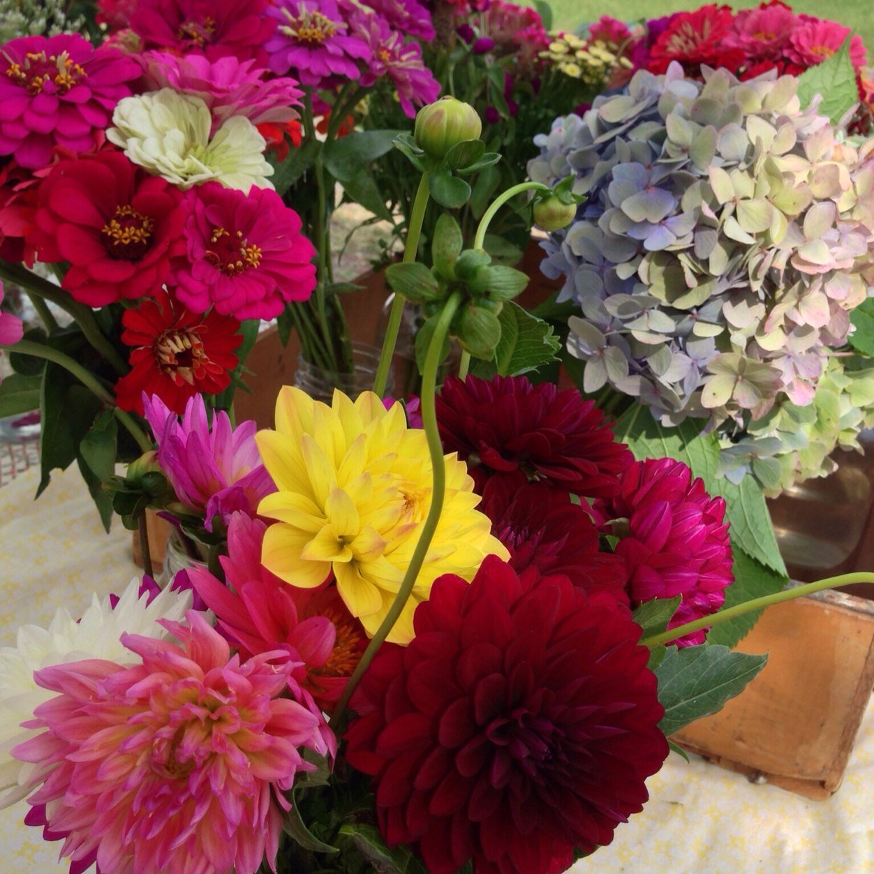 JonesKleigh's profile picture. 